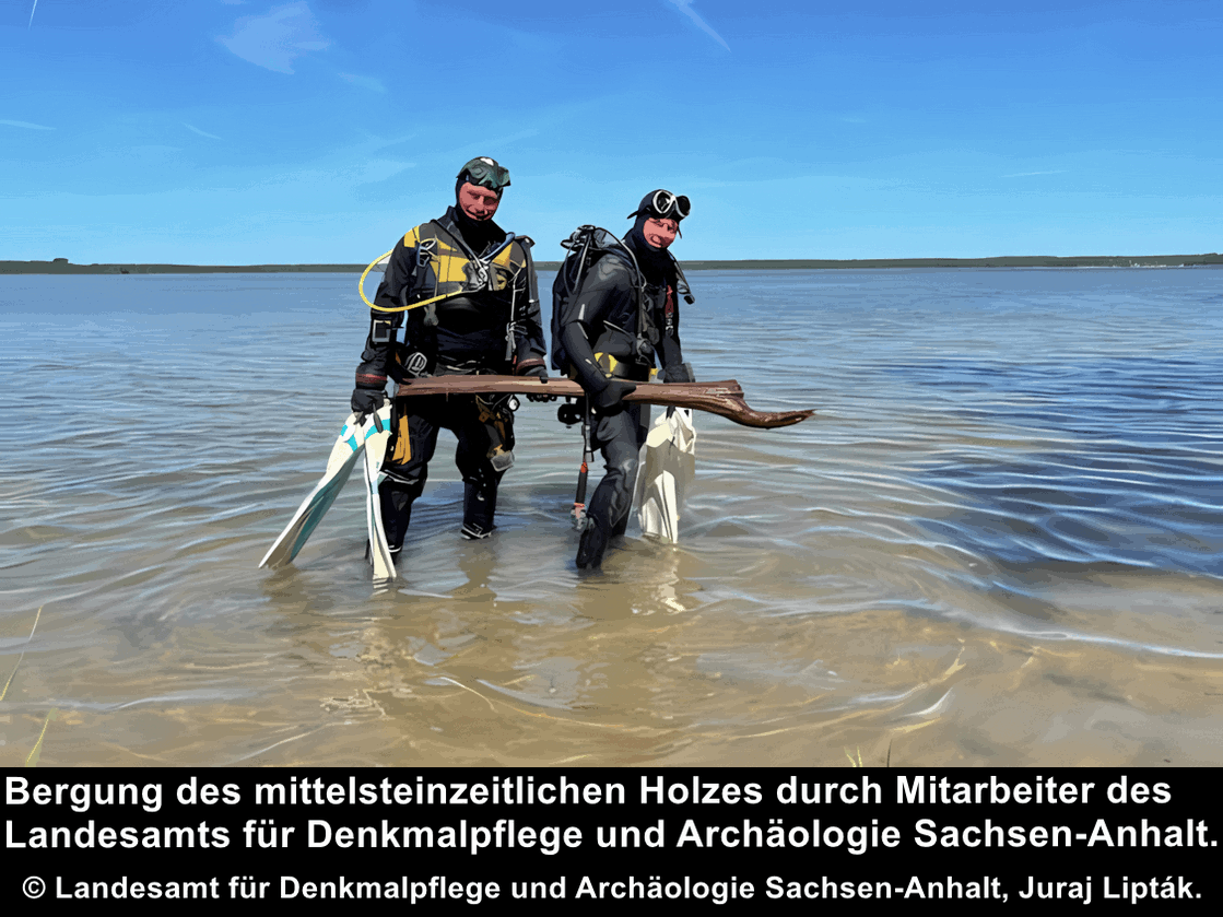 Reste von über 10.000 Jahre alten Holzkonstruktionen im Arendsee gefunden