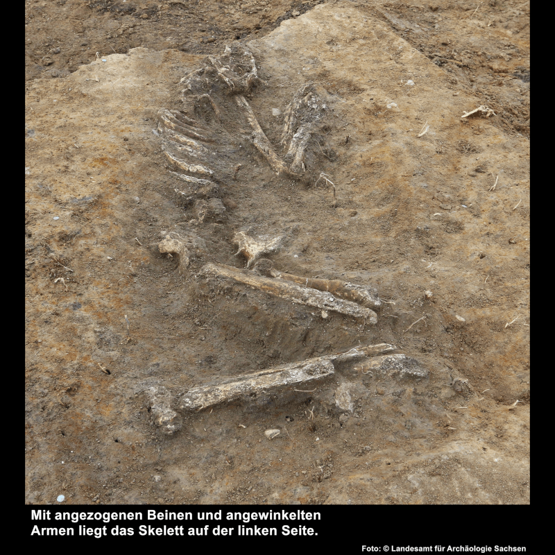 7000 Jahre alte Siedlung und ältestes Grab im Leipziger Stadtgebiet entdeckt